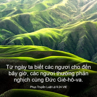 Picture 03 - Phục Truyền Luật Lệ 9:24 VIE - Từ ngày ta biết các ngươi cho đến bây - Bible Verse Picture