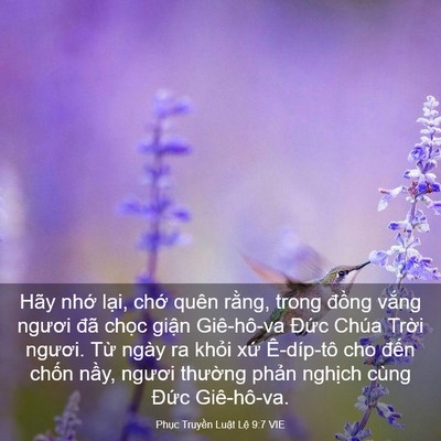 Picture 03 - Phục Truyền Luật Lệ 9:7 VIE - Hãy nhớ lại, chớ quên rằng, trong - Bible Verse Picture