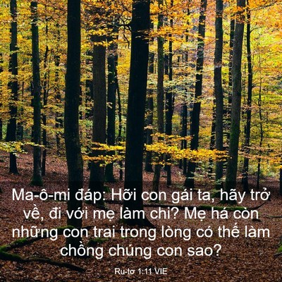 Picture 03 - Ru-tơ 1:11 VIE - Ma-ô-mi đáp: Hỡi con gái ta, hãy trở - Bible Verse Picture