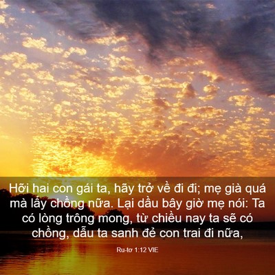 Picture 03 - Ru-tơ 1:12 VIE - Hỡi hai con gái ta, hãy trở về đi đi; - Bible Verse Picture
