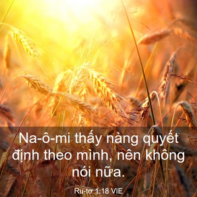 Picture 03 - Ru-tơ 1:18 VIE - Na-ô-mi thấy nàng quyết định theo mình, - Bible Verse Picture