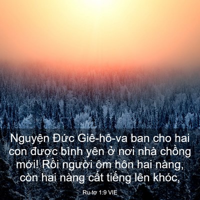 Picture 03 - Ru-tơ 1:9 VIE - Nguyện Đức Giê-hô-va ban cho hai con - Bible Verse Picture