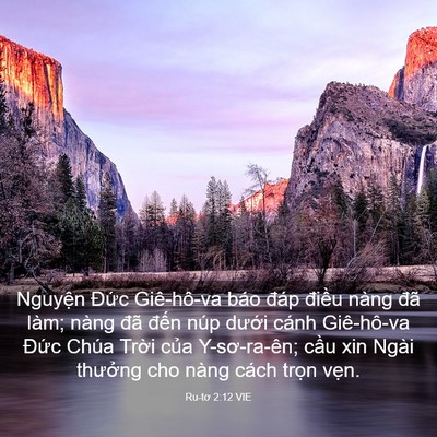 Picture 03 - Ru-tơ 2:12 VIE - Nguyện Đức Giê-hô-va báo đáp điều - Bible Verse Picture