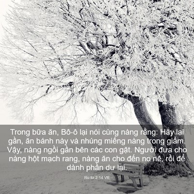 Picture 03 - Ru-tơ 2:14 VIE - Trong bữa ăn, Bô-ô lại nói cùng nàng - Bible Verse Picture