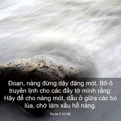 Picture 03 - Ru-tơ 2:15 VIE - Đoạn, nàng đứng dậy đặng mót. Bô-ô - Bible Verse Picture