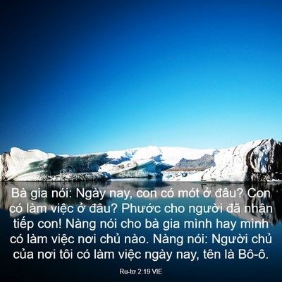 Picture 03 - Ru-tơ 2:19 VIE - Bà gia nói: Ngày nay, con có mót ở đâu? - Bible Verse Picture