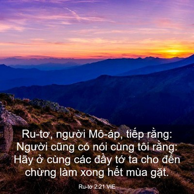 Picture 03 - Ru-tơ 2:21 VIE - Ru-tơ, người Mô-áp, tiếp rằng: Người - Bible Verse Picture