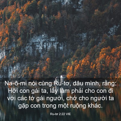 Picture 03 - Ru-tơ 2:22 VIE - Na-ô-mi nói cùng Ru-tơ, dâu mình, rằng: - Bible Verse Picture