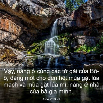 Picture 03 - Ru-tơ 2:23 VIE - Vậy, nàng ở cùng các tớ gái của - Bible Verse Picture