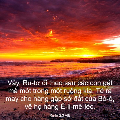 Picture 03 - Ru-tơ 2:3 VIE - Vậy, Ru-tơ đi theo sau các con gặt mà - Bible Verse Picture