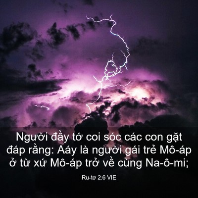 Picture 03 - Ru-tơ 2:6 VIE - Người đầy tớ coi sóc các con gặt - Bible Verse Picture
