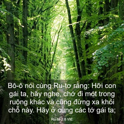 Picture 03 - Ru-tơ 2:8 VIE - Bô-ô nói cùng Ru-tơ rằng: Hỡi con gái - Bible Verse Picture