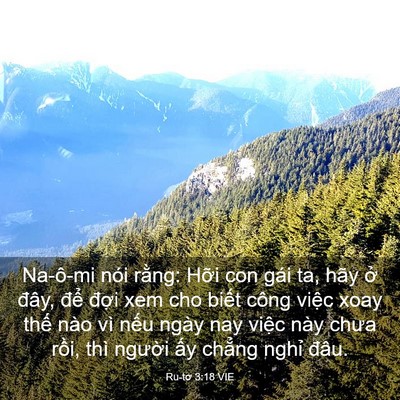 Picture 03 - Ru-tơ 3:18 VIE - Na-ô-mi nói rằng: Hỡi con gái ta, hãy ở - Bible Verse Picture