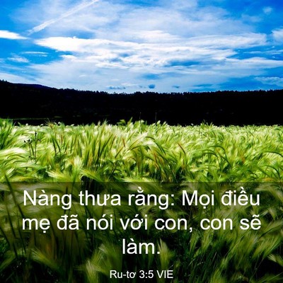 Picture 03 - Ru-tơ 3:5 VIE - Nàng thưa rằng: Mọi điều mẹ đã nói - Bible Verse Picture