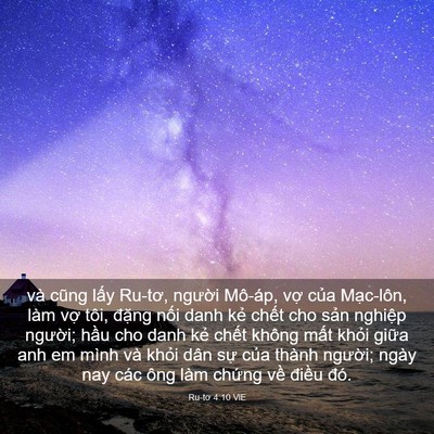 Picture 03 - Ru-tơ 4:10 VIE - và cũng lấy Ru-tơ, người Mô-áp, vợ - Bible Verse Picture