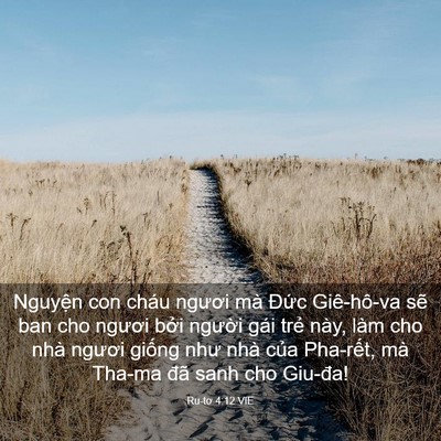 Picture 03 - Ru-tơ 4:12 VIE - Nguyện con cháu ngươi mà Đức Giê-hô-va - Bible Verse Picture
