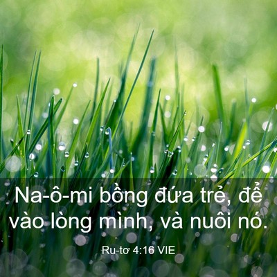 Picture 03 - Ru-tơ 4:16 VIE - Na-ô-mi bồng đứa trẻ, để vào lòng - Bible Verse Picture