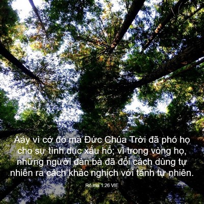 Picture 03 - Rô-ma 1:26 VIE - Aáy vì cớ đó mà Đức Chúa Trời đã - Bible Verse Picture
