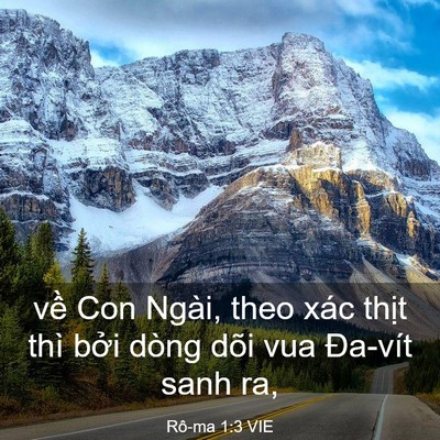 Picture 03 - Rô-ma 1:3 VIE - về Con Ngài, theo xác thịt thì bởi dòng - Bible Verse Picture