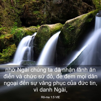 Picture 03 - Rô-ma 1:5 VIE - nhờ Ngài chúng ta đã nhận lãnh ân - Bible Verse Picture