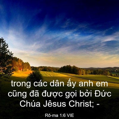 Picture 03 - Rô-ma 1:6 VIE - trong các dân ấy anh em cũng đã được - Bible Verse Picture