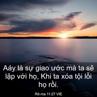 Picture 03 - Rô-ma 11:27 VIE - Aáy là sự giao ước mà ta sẽ lập với - Bible Verse Picture