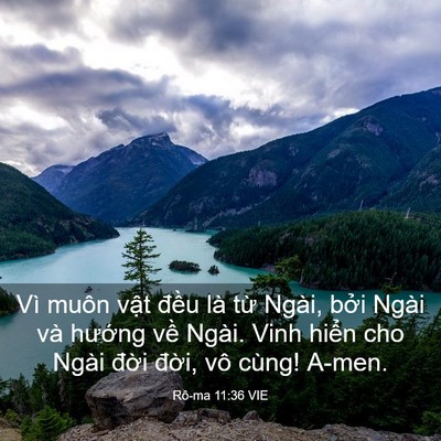 Picture 03 - Rô-ma 11:36 VIE - Vì muôn vật đều là từ Ngài, bởi - Bible Verse Picture