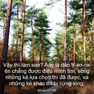 Picture 03 - Rô-ma 11:7 VIE - Vậy thì làm sao? Aáy là dân Y-sơ-ra-ên - Bible Verse Picture