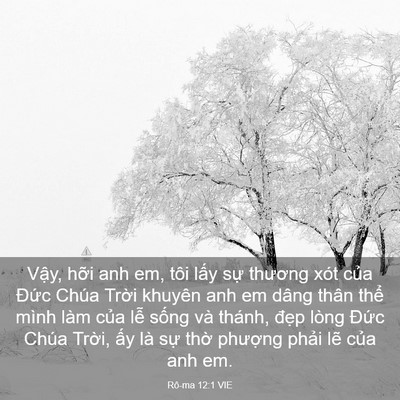 Picture 03 - Rô-ma 12:1 VIE - Vậy, hỡi anh em, tôi lấy sự thương - Bible Verse Picture