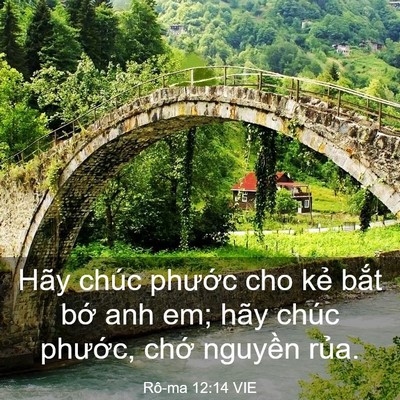 Picture 03 - Rô-ma 12:14 VIE - Hãy chúc phước cho kẻ bắt bớ anh em; - Bible Verse Picture