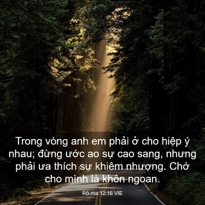 Picture 03 - Rô-ma 12:16 VIE - Trong vòng anh em phải ở cho hiệp ý nhau; - Bible Verse Picture