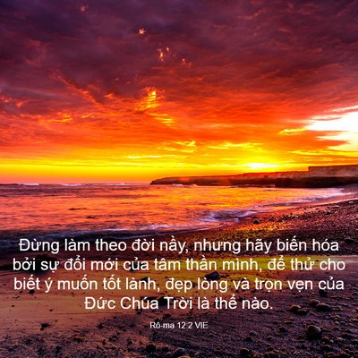 Picture 03 - Rô-ma 12:2 VIE - Đừng làm theo đời nầy, nhưng hãy - Bible Verse Picture