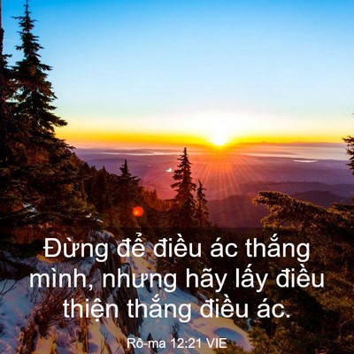 Picture 03 - Rô-ma 12:21 VIE - Đừng để điều ác thắng mình, nhưng - Bible Verse Picture