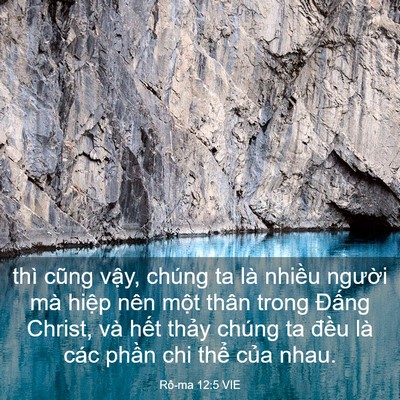 Picture 03 - Rô-ma 12:5 VIE - thì cũng vậy, chúng ta là nhiều người - Bible Verse Picture
