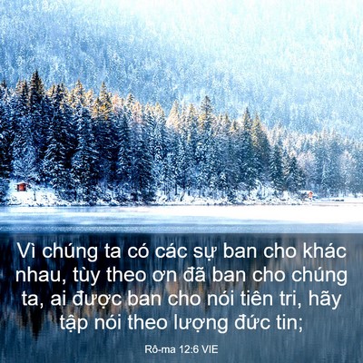 Picture 03 - Rô-ma 12:6 VIE - Vì chúng ta có các sự ban cho khác nhau, - Bible Verse Picture