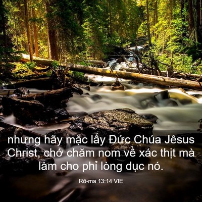 Picture 03 - Rô-ma 13:14 VIE - nhưng hãy mặc lấy Đức Chúa Jêsus - Bible Verse Picture