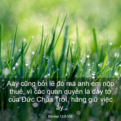 Picture 03 - Rô-ma 13:6 VIE - Aáy cũng bởi lẽ đó mà anh em nộp - Bible Verse Picture
