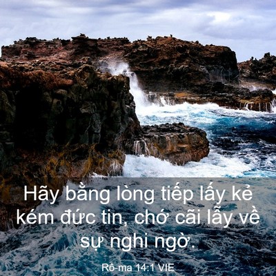 Picture 03 - Rô-ma 14:1 VIE - Hãy bằng lòng tiếp lấy kẻ kém đức - Bible Verse Picture
