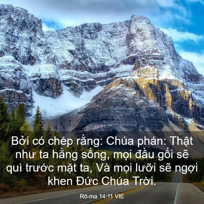 Picture 03 - Rô-ma 14:11 VIE - Bởi có chép rằng: Chúa phán: Thật như - Bible Verse Picture