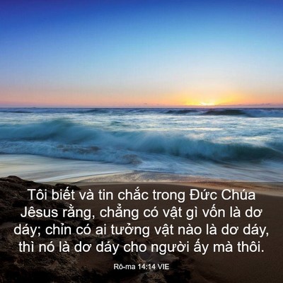 Picture 03 - Rô-ma 14:14 VIE - Tôi biết và tin chắc trong Đức Chúa - Bible Verse Picture