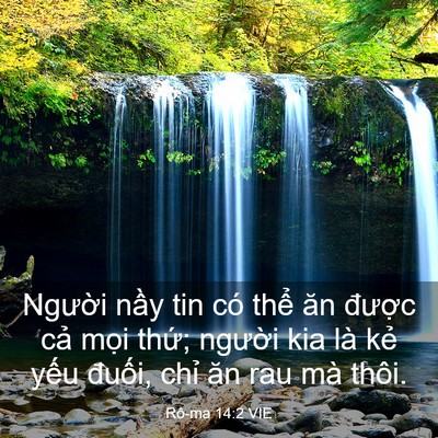Picture 03 - Rô-ma 14:2 VIE - Người nầy tin có thể ăn được cả - Bible Verse Picture