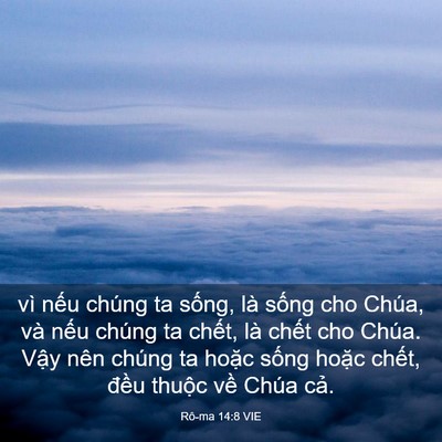 Picture 03 - Rô-ma 14:8 VIE - vì nếu chúng ta sống, là sống cho Chúa, - Bible Verse Picture