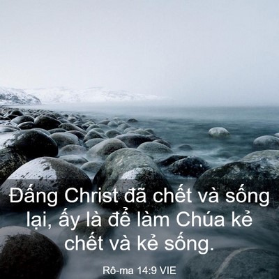 Picture 03 - Rô-ma 14:9 VIE - Đấng Christ đã chết và sống lại, ấy - Bible Verse Picture