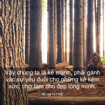 Picture 03 - Rô-ma 15:1 VIE - Vậy chúng ta là kẻ mạnh, phải gánh - Bible Verse Picture