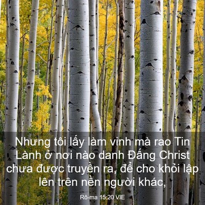 Picture 03 - Rô-ma 15:20 VIE - Nhưng tôi lấy làm vinh mà rao Tin Lành ở - Bible Verse Picture