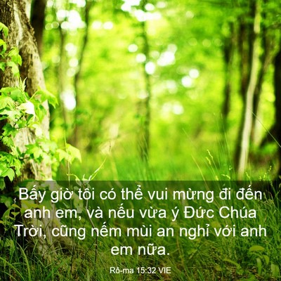 Picture 03 - Rô-ma 15:32 VIE - Bấy giờ tôi có thể vui mừng đi đến - Bible Verse Picture