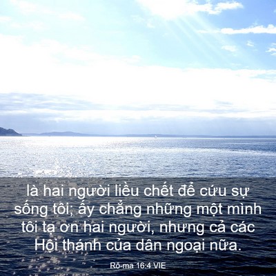 Picture 03 - Rô-ma 16:4 VIE - là hai người liều chết để cứu sự - Bible Verse Picture