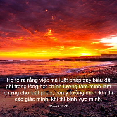 Picture 03 - Rô-ma 2:15 VIE - Họ tỏ ra rằng việc mà luật pháp dạy - Bible Verse Picture