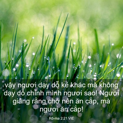 Picture 03 - Rô-ma 2:21 VIE - vậy ngươi dạy dỗ kẻ khác mà không - Bible Verse Picture