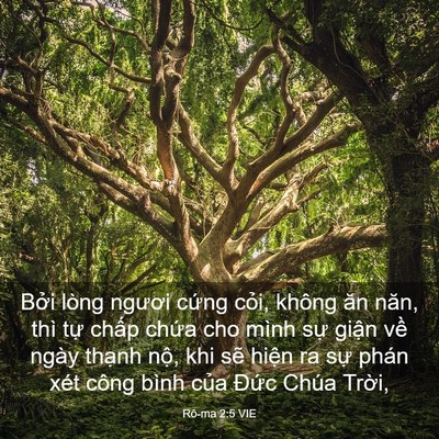 Picture 03 - Rô-ma 2:5 VIE - Bởi lòng ngươi cứng cỏi, không ăn - Bible Verse Picture